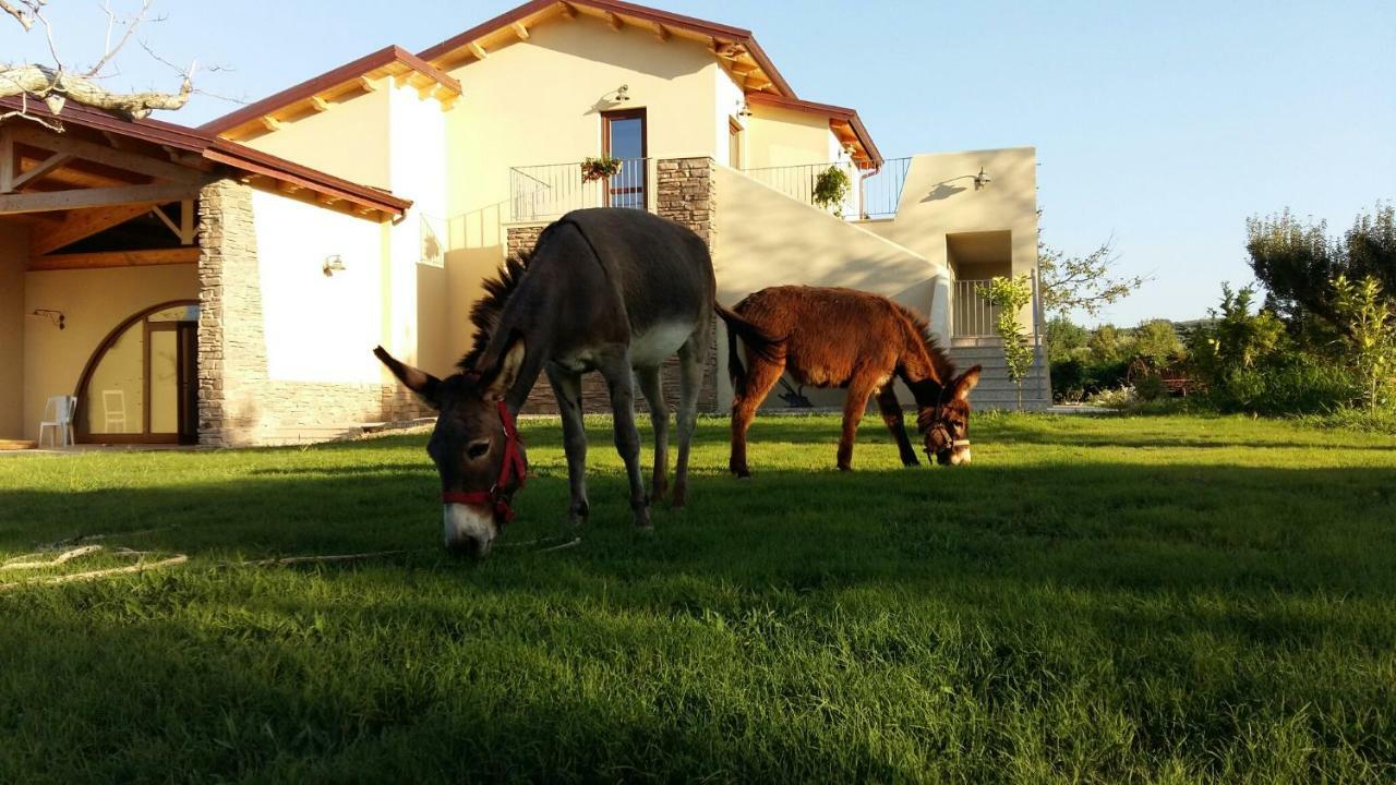 Agriturismo Frantoio Mafrica Limbadi Extérieur photo